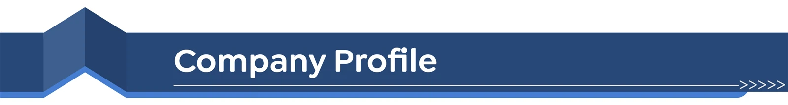 161company profile 161company profile